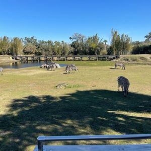 Meet your Posher, Marcie